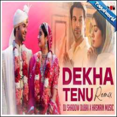 Dekhha Tenu Pehli Pehli Baar Ve Remix - DJ Shadow Dubai Mp3